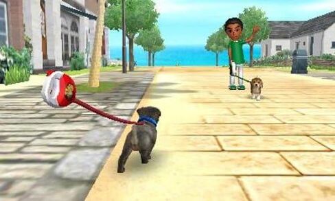 Nintendogs + Cats: Shiba & New Friends in Saudi Arabia