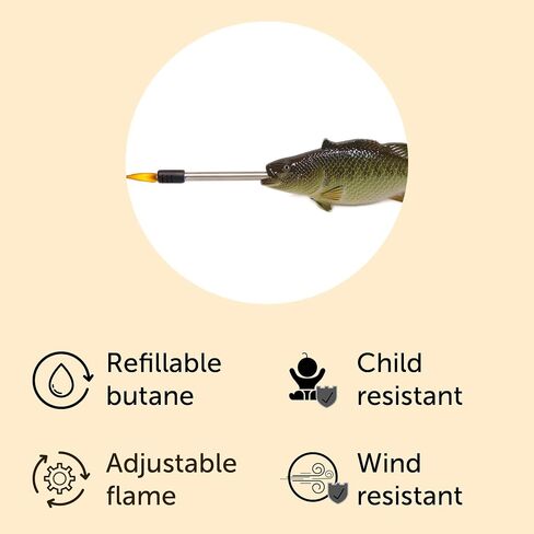 Bass Fish Lighter in Saudi Arabia