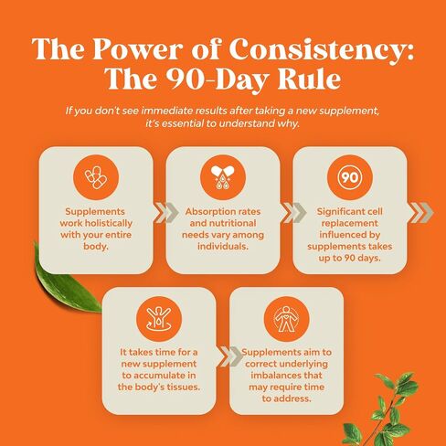 Potent Daily Multivitamin Gummies for Adults - Wellness Blend of Vitamin D A C E B12 Zinc and Biotin - Adult Vitamin Gummy for Energy and Immunity - Non-GMO Gluten Free and Halal - 180 Gummies in Kuwait