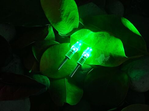DEEPOWER G Lighted Nocks 4 قطع سهلة السحب لأعلى / لأسفل، عالية الوضوح، LED، أعمدة أسهم تناسب .165/.204 /.244 بوصة القطر الداخلي مع البطانات X، S in Kuwait