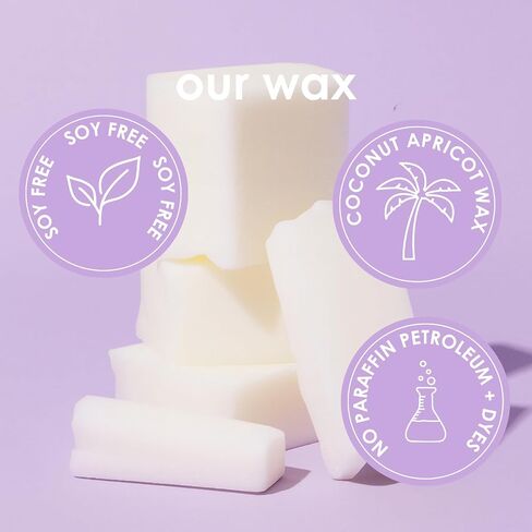 Pet Friendly Candle | Pet Safe Candle | All Natural Soy Candle | Pet Odor Eliminator | Clean Burning Candle | Air Freshening Scented Candles | Veterinarian Approved | 4 oz (Alpine Ridge) in Kuwait