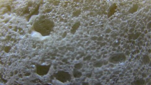 احمر 0913 فوم اند املأ الفراغات الصغيرة من البولي يوريثين الممتد، 12 اونصة، اوف وايت، عبوة من قطعة واحدة in Kuwait