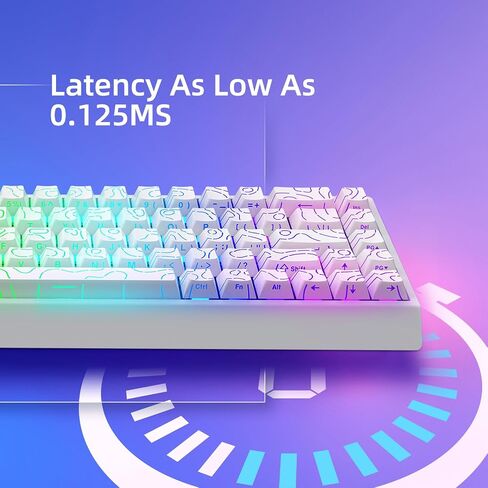 Mer68 Wired 68 Keys, Magnetic Switch Mechanical Keyboard, 8KHZ Polling Rate/Latency As 0.125MS/256KHZ Single Key Scan Rate/ARGB/, Hot Swappable Gaming Keyboard(White) in Saudi Arabia