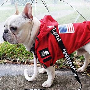 JizahPET Dog Raincoat, Waterproof and Windproof Portable Dog Raincoat, Dog Raincoat with Hood,Dog Face Dog Raincoat,for Small, Medium and Large Dogs (Red, 3X-Large)
