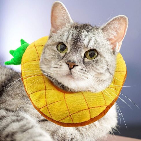 HYLYUN Cat Recovery Collar - Cute Pineapple Neck Cat Cones After Surgery, Adjustable Cat E Collar, Surgery Recovery Elizabethan Collars for Kitten and Cats in Kuwait