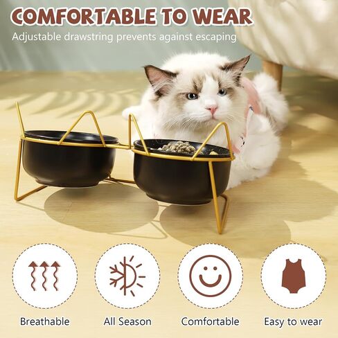 Hoemwarm 3 Pcs Cat Recovery Suit with 1 Cat Recovery Collar, Cat Onesie for Cats After Surgery Female Small Cat Surgery Recovery Suit Adjustable Elizabethan Collar for Abdominal Wounds (S) in Saudi Arabia