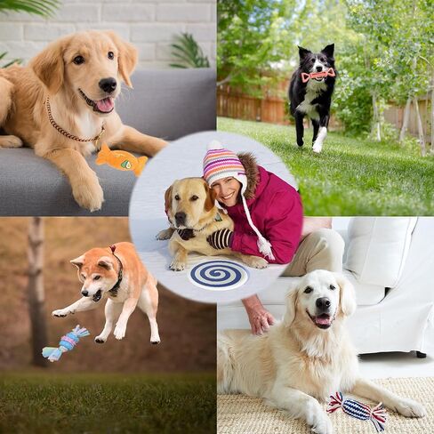 Rainbow-K9 Puppy Toys 7 Pack، ألعاب مضغ للكلاب الصغيرة مع ألعاب حبل لتسنين الحيوانات الأليفة لعبة صرير لطيفة مع كرة معالجة للجرو والكلاب الصغيرة in Saudi Arabia