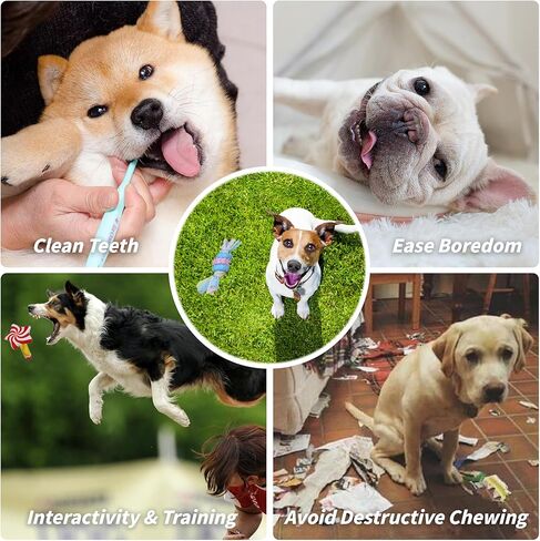 Rainbow-K9 Puppy Toys 7 Pack، ألعاب مضغ للكلاب الصغيرة مع ألعاب حبل لتسنين الحيوانات الأليفة لعبة صرير لطيفة مع كرة معالجة للجرو والكلاب الصغيرة in Saudi Arabia