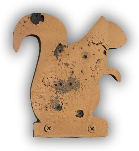 ID Squirrel Plinker Infinity Target – Durable Self-Healing Reusable Rubber Target | Reactive Hits, Weatherproof, No Ricochet | Handles Thousands of Rounds Up to .50 BMG in Saudi Arabia