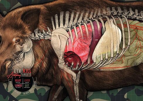 Hog Target 2-Sided Paper Range Targets (5pack) 18" x 26" for Archery & RifleHunters | Realistic Educational Anatomy Illustration by EthiKill… in Saudi Arabia