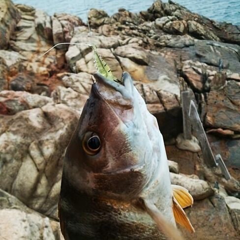 Fishing Lures,Soft Silicone Shrimp for bass Lures,Jigs Fishing Bait for Freshwater and Saltwater,Fishing Gifts in Saudi Arabia
