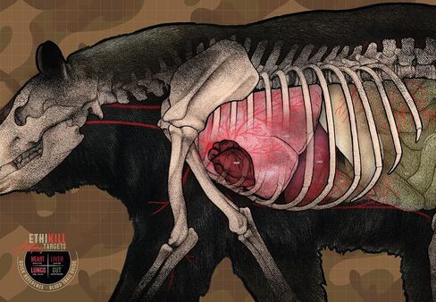Bear Target 2-Sided Paper Range Targets (3pack) 27" x 39" for Archery & Rifle Hunters | Realistic Educational Anatomy Illustration by EthiKill… in Saudi Arabia