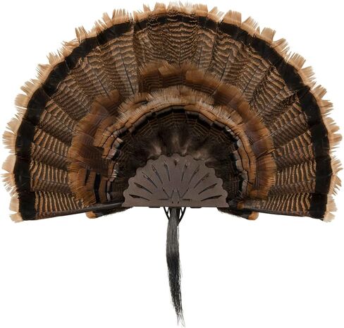 Allen Company EZ Mount Turkey Fan Display, Brown in Saudi Arabia