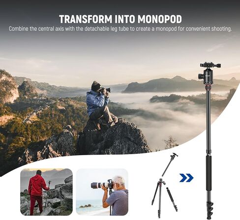 NEEWER 77 inch Camera Phone Tripod Monopod & Mini Camera Flash Light, Compact Aluminum Lightweight Travel Stand with Ball Head, 2 Axis Center Column, Arca Type QR Plate 34lb Max Load, Bag Included in Saudi Arabia