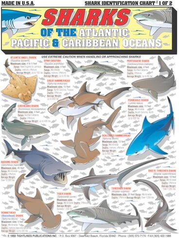 Sharks Identification Set (Atlantic, Pacific, and Caribbean Oceans) - Waterproof Quick Reference Guide | Portable & Built to Last | Double-Sided & Easy to Read | (Size, Weight, Depth, Location) in Saudi Arabia