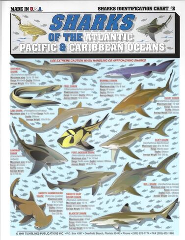 Sharks Identification Set (Atlantic, Pacific, and Caribbean Oceans) - Waterproof Quick Reference Guide | Portable & Built to Last | Double-Sided & Easy to Read | (Size, Weight, Depth, Location) in Saudi Arabia