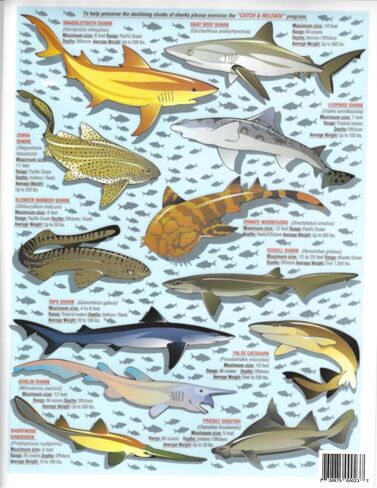 Sharks Identification Set (Atlantic, Pacific, and Caribbean Oceans) - Waterproof Quick Reference Guide | Portable & Built to Last | Double-Sided & Easy to Read | (Size, Weight, Depth, Location) in Saudi Arabia