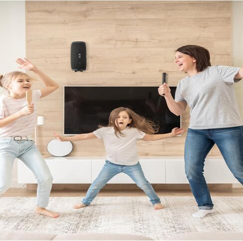 حامل سقفي عالمي على الحائط لجهاز JBL Charge 6/5/4، Flip 7/6/5 in Kuwait