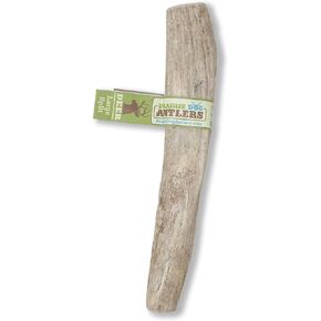 Prairie Dog Antlers | North American Split Antler | Large | Naturally Shed | Hand Harvested | Nutrient Rich | 6-7.5 inches long