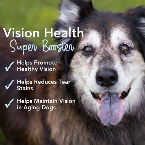 مضغ iHeartDogs للرؤية والبقع المسيل للدموع للكلاب - مكمل للعناية بعيون الكلاب لرطوبة العين + دعم الرؤية والمناعة مع زيت الكريل واللوتين والأستازانتين والتوت البري وخل التفاح وفيتامين C in Kuwait
