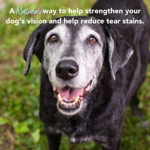 مضغ iHeartDogs للرؤية والبقع المسيل للدموع للكلاب - مكمل للعناية بعيون الكلاب لرطوبة العين + دعم الرؤية والمناعة مع زيت الكريل واللوتين والأستازانتين والتوت البري وخل التفاح وفيتامين C in Kuwait