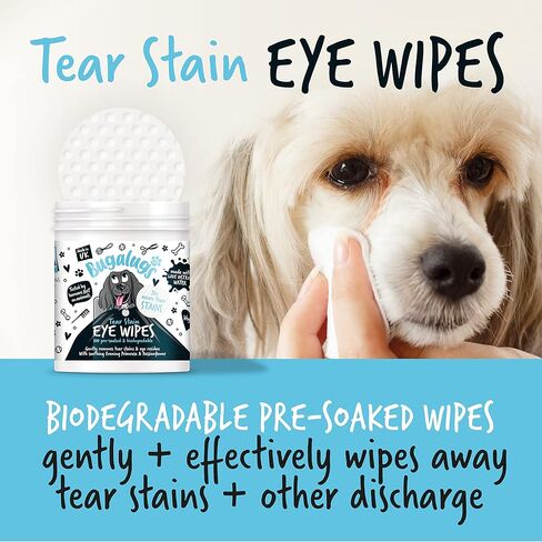 BUGALUGS مناديل مبللة لعين الكلاب، 100 منديل مبللة للكلاب قابلة للتحلل البيولوجي. تنظيف آمن وسهل للكلاب - مناديل عين الحيوانات الأليفة تزيل البقع المسيلة للدموع وقشور عين الكلب وإفرازات العين in Kuwait