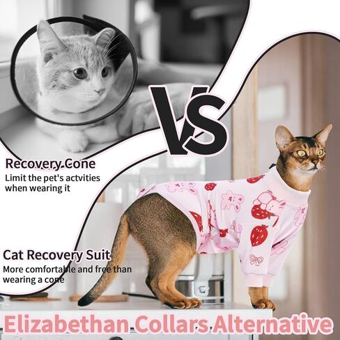 بدلة تعافي القطط من بوناويت، قطعة واحدة للقطط بعد الجراحة، بدلة تعافي جراحي للقطط ذكر أنثى محايد، بيجامة قطط بدلة للجسم بعد الجراحة، سترة تعقيم ذات ياقة إلكترونية مخروطية بديلة للقلق in Kuwait