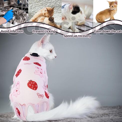 بدلة تعافي القطط من بوناويت، قطعة واحدة للقطط بعد الجراحة، بدلة تعافي جراحي للقطط ذكر أنثى محايد، بيجامة قطط بدلة للجسم بعد الجراحة، سترة تعقيم ذات ياقة إلكترونية مخروطية بديلة للقلق in Kuwait