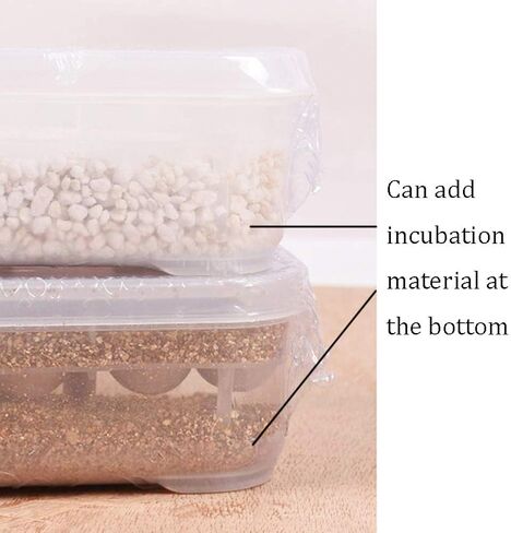 NGe Reptile Egg Breeding Hatchery Box Incubator Tray Container Box for Snake Gecko Lizard (12 Holes) in Saudi Arabia