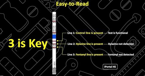 HarmGuard FX 2 in 1 Fentanyl/Xylazine Test Strip - 2 Pack with Scoop - Easy to Read Instructions - Fast Results - Test Liquids, Powders for Fetnanyl and Xylazine with 1 Strip in Saudi Arabia