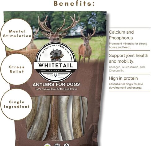 WhiteTail Naturals - قرون الأيائل الممتازة للكلاب - (عبوة بوزن 1 رطل) - مضغ عضوي للكلاب - عظام كلب قرن الوعل المتساقطة بشكل طبيعي - تدوم طويلاً، صُنعت في الولايات المتحدة الأمريكية in Kuwait