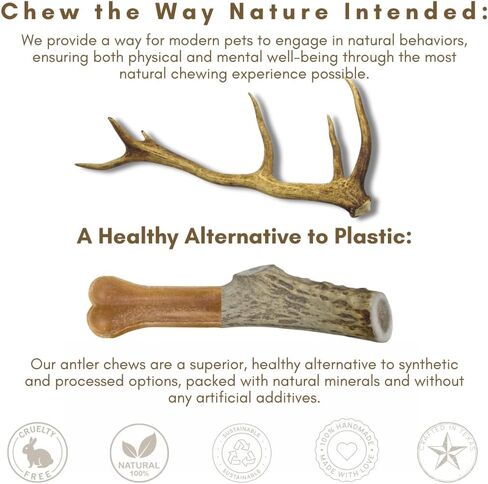 WhiteTail Naturals - قرون الأيائل الممتازة للكلاب - (عبوة بوزن 1 رطل) - مضغ عضوي للكلاب - عظام كلب قرن الوعل المتساقطة بشكل طبيعي - تدوم طويلاً، صُنعت في الولايات المتحدة الأمريكية in Kuwait