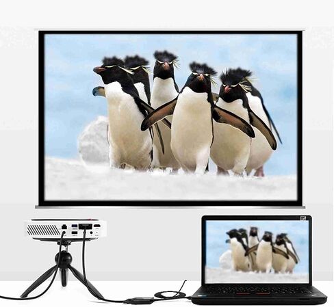 DisplayPort to VGA Cable Adapter High Performance Gold Plated Connectors 1080p Resolution Support for PC Laptop to HDTV Monitor Projector Black 1.8m in Saudi Arabia