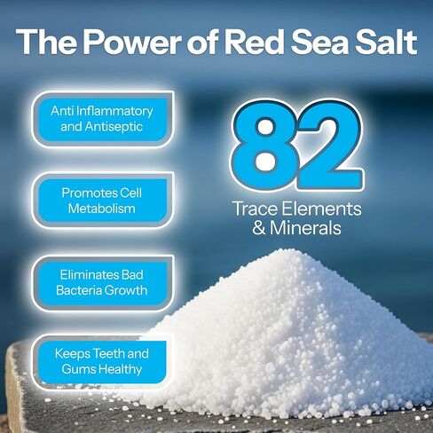 H2Ocean Healing Rinse العناية بالفم بملح البحر الطبيعي - شطف الفم للعناية بالفم - رائع للثقب والتهاب الحلق وصحة اللثة - غسول الفم الخالي من الكحول والفلورايد - ثلج الليمون، 16 أونصة in Kuwait