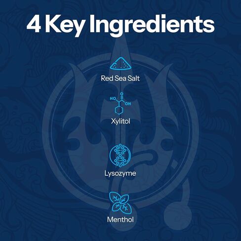 H2Ocean Healing Rinse العناية بالفم بملح البحر الطبيعي - شطف الفم للعناية بالفم - رائع للثقب والتهاب الحلق وصحة اللثة - غسول الفم الخالي من الكحول والفلورايد - ثلج الليمون، 16 أونصة in Kuwait