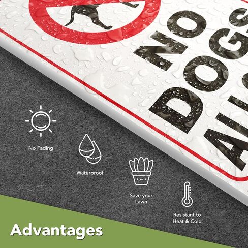 لافتة بعبارة No Dogs Allowed - No Dogs Allowed - No Dogs Sign - No Dogs Allowed - No Dogs You Dog - No Dogs On Lawn - لافتة للكلاب للسياج - لافتات للكلاب لديكور المنزل - كلاب اوف جراس in Kuwait