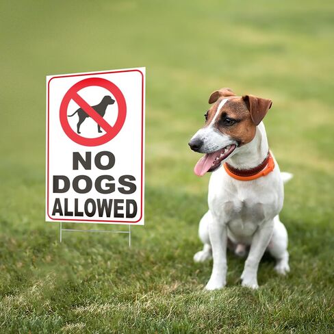 لافتة بعبارة No Dogs Allowed - No Dogs Allowed - No Dogs Sign - No Dogs Allowed - No Dogs You Dog - No Dogs On Lawn - لافتة للكلاب للسياج - لافتات للكلاب لديكور المنزل - كلاب اوف جراس in Kuwait