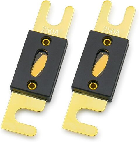 Baomain ANL Fuse ANL-100 100 Amp 100A for Car Vehicles Audio System Sheet Gold Tone 2 PCS in Kuwait