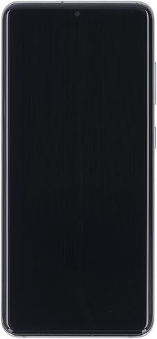 for S20 5G Screen Replacement, LCD Touch Display Digitizer for S20 5G G980 G981A G981F G981P G981R4 Phone LCD Screen Replacement High Resolution (Grey) in Saudi Arabia