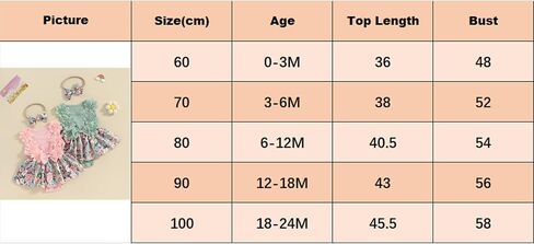Hnyenmcko Newborn Baby Girl Summer Romper Dress Infant Fly Sleeve Flower Embroidery Mesh Tulle Skirt Hem Ribbed Bodysuit in Kuwait