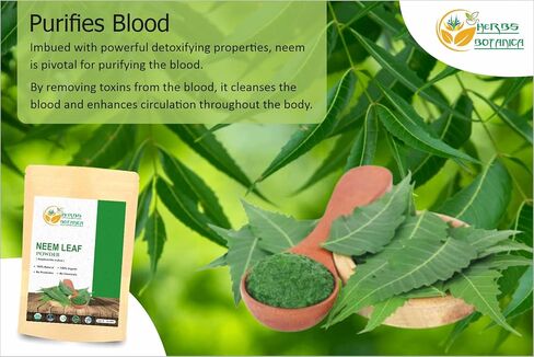 Herbs Botanica Neem Powder Organic for Hair Growth, Skin Care & Detox Wildcrafted Bitter Neem Leaves Powder for Oral Hygiene, Immune System Support, Digestive Health 5.3 oz / 150 GMS in Saudi Arabia