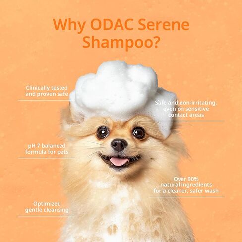 ODAC Derma Serene Shampoo, Korea Beauty Pet Skincare, Gentle, Skin Friendly with Winter Cherry Root & Korean Patchouli, Rich Lather & Herbal Freshness, for Dogs & Cats, 10.14 fl oz in Saudi Arabia