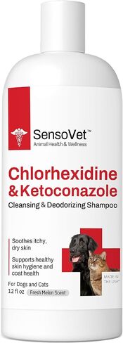 Chlorhexidine Shampoo for Dogs & Cats - 12oz in Kuwait
