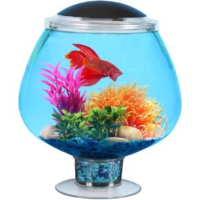 منتجات Koller BettaTank سعة 1.7 جالون مع إضاءة LED، قطر 9.5 بوصة × ارتفاع 11 بوصة