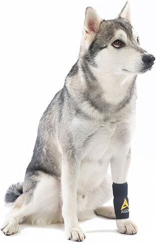 AGON® Dog Canine Front Leg Bracked Brace يلتف مع حماية الجروح، ويشفي ويمنع الإصابات والالتواء، ويساعد في فقدان الاستقرار الناجم عن التهاب المفاصل (صغير / متوسط) in Kuwait