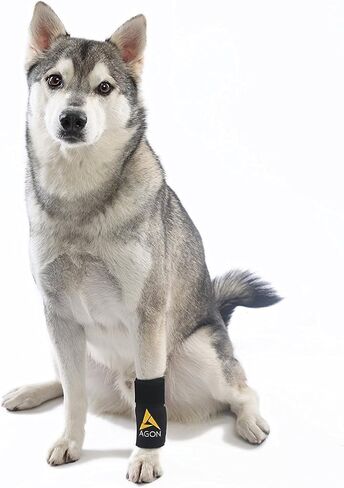 AGON® Dog Canine Front Leg Bracked Brace يلتف مع حماية الجروح، ويشفي ويمنع الإصابات والالتواء، ويساعد في فقدان الاستقرار الناجم عن التهاب المفاصل (صغير / متوسط) in Kuwait