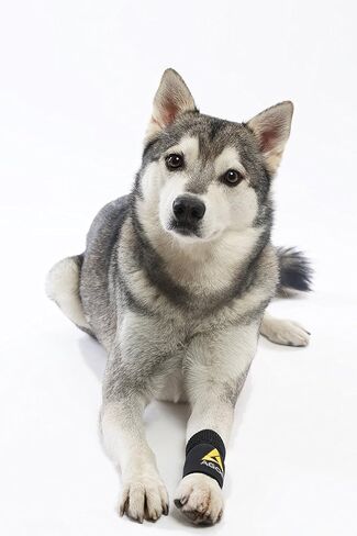 AGON® Dog Canine Front Leg Bracked Brace يلتف مع حماية الجروح، ويشفي ويمنع الإصابات والالتواء، ويساعد في فقدان الاستقرار الناجم عن التهاب المفاصل (صغير / متوسط) in Kuwait