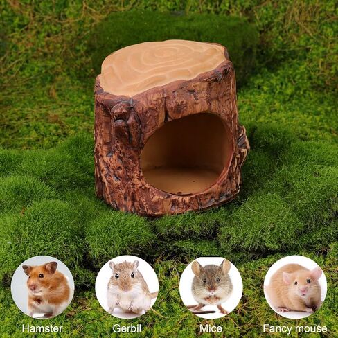 Wooden Hamster Decor Kit, 3-Chamber Wood Hamster House Maze Hideout Habitats with Climbing Ladder and Beauty Pinwheel House for Small Pets, Syrian Hamster Mice Gerbils Mouse, Lemmings (Small Size) in Saudi Arabia