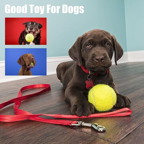 Baisidiwei Tennis Balls 3/12 Pack Durable Pressurized Dog Tennis Balls Yellow Felt Training Tennis Balls High Bounce Practice Tennis Balls for Beginners Dogs in Saudi Arabia