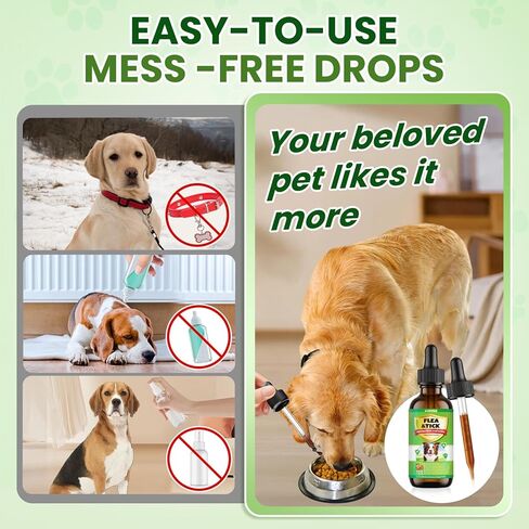 Flea and Tick Prevention for Dogs, 60 ML (2 FL OZ) 2 Pack Natural Oral Flea and Tick Drops for Dogs Containing Multivitamin All Breeds and Sizes Fleas Control for Dog Bacon Flavor in Kuwait